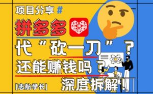 【2025最新】拼多多代坎助力项目深度拆解:还能挣钱吗?全流程玩法-木石资源网