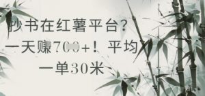 抄书在小红薯平台?平均一单30米,一天收益几张!-木石资源网