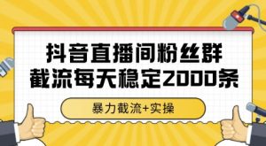 抖音直播间粉丝群暴力截流，一台电脑每天稳定2000条数据，暴力截流+实操 【揭秘】-木石资源网