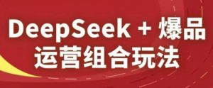 DeepSeek+爆品运营组合玩法，2025淘系精品课-木石资源网
