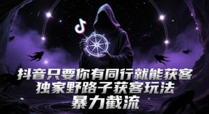 抖音只要你有同行就能获客，独家野路子获客玩法，暴力截流【揭秘】-木石资源网