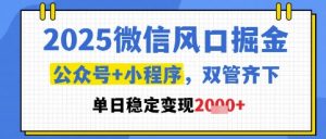 2025微信风口掘金，公众号+小程序双管齐下，单日稳定变现1k+【揭秘】-木石资源网