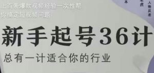 新手起号36计2.0，四年行业沉淀，上百条爆款视频经验一次性帮你搞定短视频问题-木石资源网