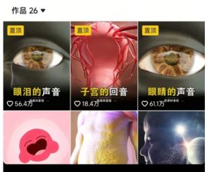 抖音坚果3D动画科普项目，撸视频号分成和抖音伙伴计划，适合零基础小白-木石资源网