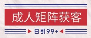 小红书某音橙人赛道引流获客，自热矩阵日引200+【揭秘】-木石资源网