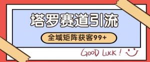 小红书某音塔罗赛道引流获客 自热矩阵日引200+【揭秘】-木石资源网