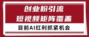 小红书某音创业赛道引流获客 自热矩阵日引200+【揭秘】-木石资源网