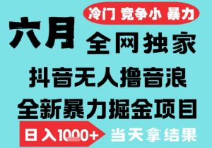 2025年6月高爆抖音无人直播最新撸音浪掘金项目,无脑日入1k+,低门槛小白可做,可矩阵放大【揭秘】-木石资源网