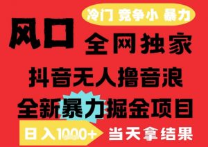 25年6月高爆抖音无人直播最新撸音浪掘金项目，解放双手小白可做，无脑日入1k+，门槛低【揭秘】-木石资源网