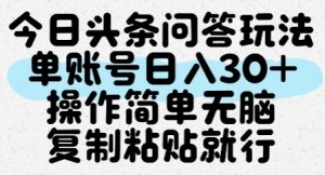 今日头条问答玩法，单账号日入30+，操作简单无脑复制粘贴就行-木石资源网