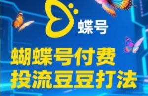2025蝴蝶号付费投流豆豆打法,助新手快速掌握付费流量撬动自然流的核心玩法-木石资源网