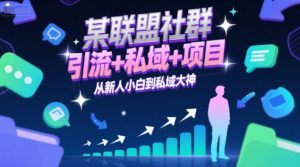 某联盟社群,引流+私域+项目,从新人小白到私域大神-木石资源网