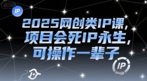 2025网创类IP课,项目会死IP永生,可操作一辈子-木石资源网