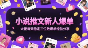小说推文新人爆单大佬每天稳定三位数爆单经验分享-木石资源网