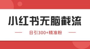 小红书截流同行客源,独家野路子获客玩法 日引200+暴力获客【揭秘】-木石资源网