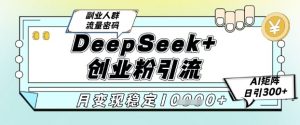 DeepSeek+创业粉精准引流，全新分享课4.0玩法，AI矩阵日引300+，多种变现方式，稳定月入1W-木石资源网