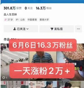 外面卖5000最新抖音搬运涨粉技术，新玩法，一分钟一条，一天涨粉2W，苹果安卓都可用-木石资源网