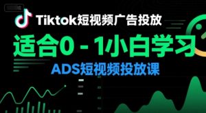Tiktok短视频广告投放,适合0-1小白学习ADS短视频投放课-木石资源网