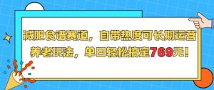 减肥食谱赛道,自带热度可长期运营,养老玩法,单日轻松搞定769-木石资源网