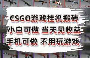 CSGO游戏挂G搬砖,小白纯手机即可操作,不用电脑打游戏,日入3张+,副业网创项目【揭秘】-木石资源网