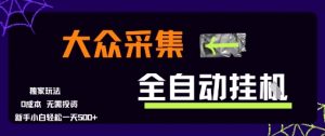 大众采集全自动玩法，新手小白轻松一天5张+，操作简单零成本【揭秘】-木石资源网