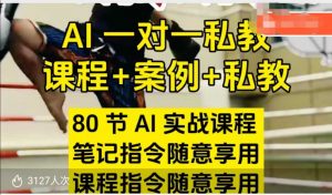 AI指令实战课，课程+案例，80节AI实战课程，笔记指令随意享用，课程指令随意享用（更新7月）-木石资源网