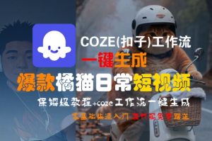 COZE(扣子)工作流一键生成爆款橘猫日常短视频,保姆级教程,零基础快速入门-木石资源网