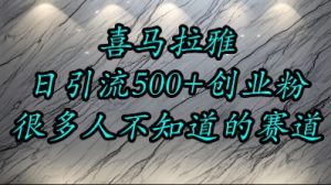 喜马拉雅,小而精的流量赛道,日进500+精准创业粉-木石资源网