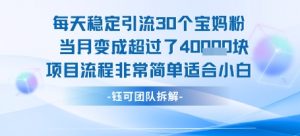 每天稳定引流30个人 当月变成超过了4个W项目流程非常简单适合小白-木石资源网