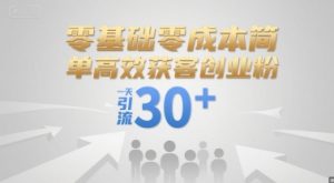 零基础零成本简单高效获客创业粉,一天引流30+-木石资源网