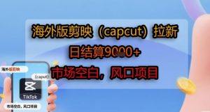 海外版剪映(capcut)拉新，日结算1k+，市场空白，风口项目-木石资源网