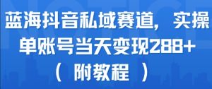 蓝海抖音私域赛道,实操单账号当天变现288+(附教程)-木石资源网