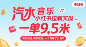 汽水音乐小红书拉新实操，，一单9.5米，有手就行，一个月挣了2.1W-木石资源网