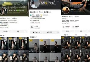 抖音图文文案赛道新玩法,快速养号起号,广告收益分成+橱窗带货+教学收徒等-木石资源网