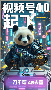 梅花实验窒微信视频号连怼玩法技巧起飞4.0一键AB破解版【揭秘】-木石资源网