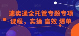 速卖通全托管专题专项课程,实操 高效 爆单-木石资源网