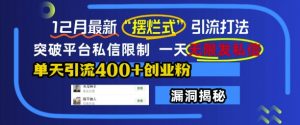 12月最新“摆烂式”引流打法,突破平台私信限制,一天无限发私信,单天引流400+创业粉-木石资源网