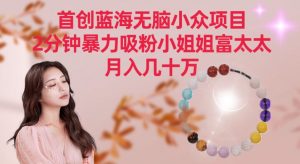 首创蓝海无脑小众项目，2分钟暴力吸粉小姐姐富太太，月入几十万【揭秘】-木石资源网