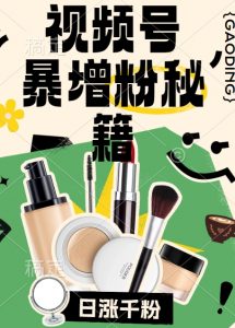 视频号涨粉方法,暴力起号,一天涨粉1000+,当天开橱窗【揭秘】-木石资源网