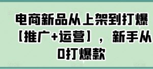 电商新品从上架到打爆【推广+运营】,新手从0打爆款-木石资源网