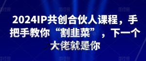 2024IP共创合伙人课程，手把手教你“割韭菜”，下一个大佬就是你-木石资源网