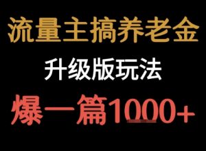 流量主之养老金升级版玩法  爆一篇收益1k+-木石资源网