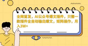 全网首发，AI公众号爆文插件，只需一款插件全自动输出爆文，矩阵操作，月入3W+【揭秘】-木石资源网