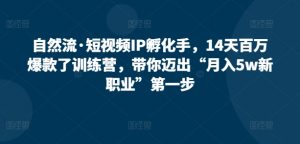 自然流·短视频IP孵化手,14天百万爆款了训练营,带你迈出“月入5w新职业”第一步-木石资源网