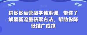 拼多多运营必学体系课,带你了解最新流量获取方法、帮助你降低推广成本-木石资源网