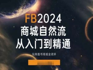 2024Faceboo商城自然流(从入门到精通)，玩转脸书商城全闭环-木石资源网
