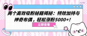 两个高效吸粉秘籍揭秘:特效加持与神奇布偶,轻松涨粉5000+【揭秘】-木石资源网