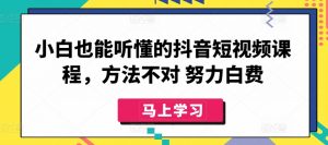 小白也能听懂的抖音短视频课程，方法不对 努力白费-木石资源网