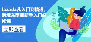 lazada从入门到精通,跨境东南亚新手入门必修课-木石资源网