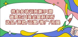 拼多多培训班第34期：做高价女装必盈利剖析选品/测款/运营/推广/拓展-木石资源网